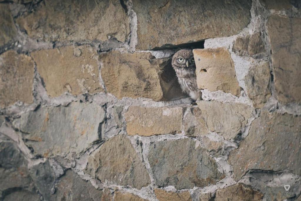 A L'Entree Du Verger - Charmante Maison En Pierres Dinant Dış mekan fotoğraf